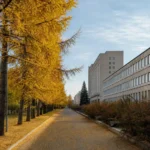 Akademgorodok, Irkutsk: Science Town of the Siberian Academy