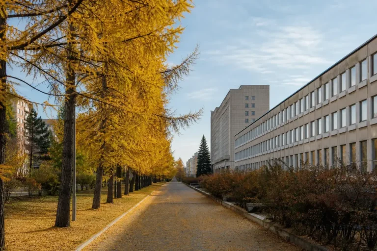 Akademgorodok, Irkutsk: Science Town of the Siberian Academy