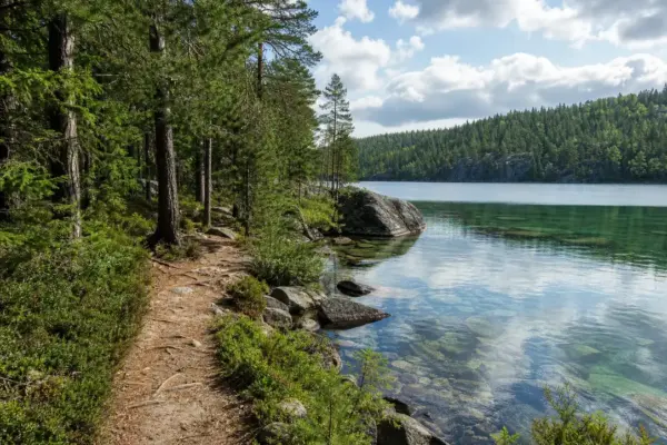 Best Hiking Trails and Nature Walks, Karelia: 10 Verified Routes 9