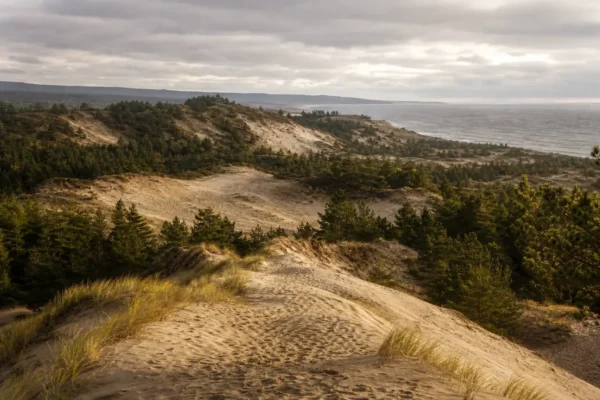 Best Outdoor Activities & Tours, Kaliningrad: Dunes, Beaches and Lagoon Walks