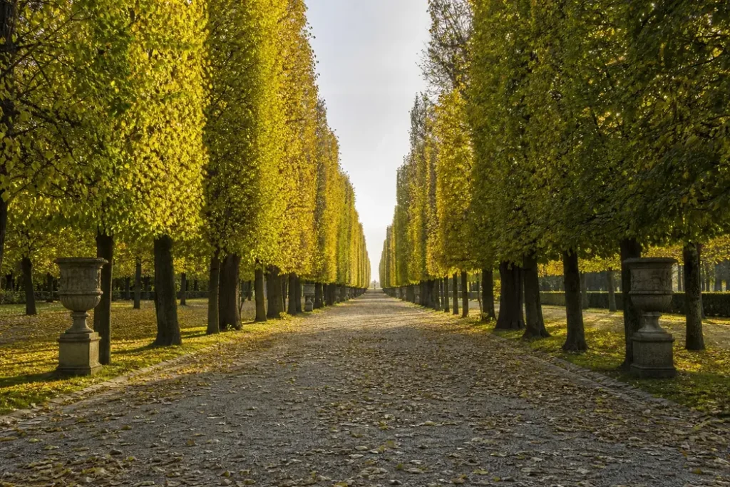 Best Parks and Gardens, Saint Petersburg: 8 Green Escapes in the City