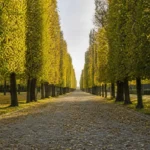 Best Parks and Gardens, Saint Petersburg: 8 Green Escapes in the City