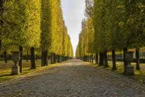 Best Parks and Gardens, Saint Petersburg: 8 Green Escapes in the City
