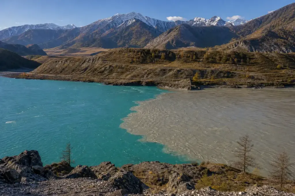 Chuya and Katun Confluence: Free Viewpoint and Sacred Altai Landmark