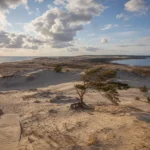 Curonian Spit National Park: Sand Dunes and Bird Migration