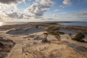 Curonian Spit National Park: Sand Dunes and Bird Migration