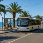 Getting around Sochi by public transport: Buses, minibuses and trains