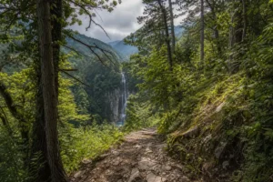 Hiking Trails by Difficulty, Sochi: Routes for All Abilities