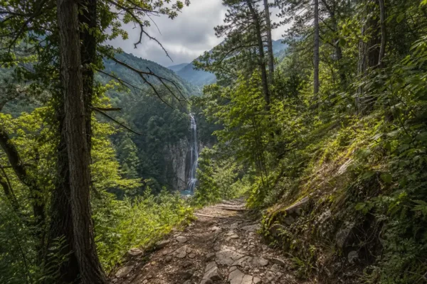 Hiking Trails by Difficulty, Sochi: Routes for All Abilities