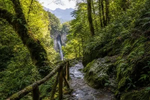 Hiking trails for different fitness levels, Sochi: Routes from 30 minutes to multi-day treks