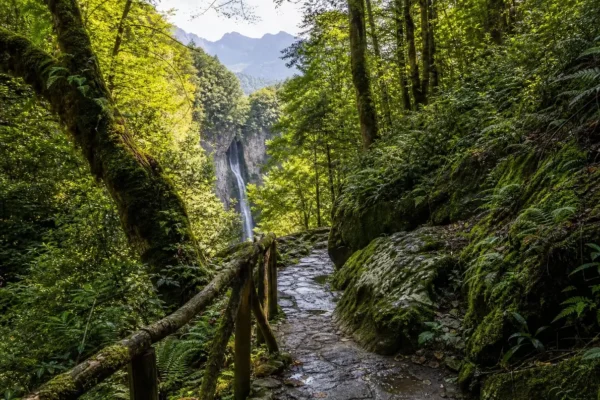 Hiking trails for different fitness levels, Sochi: Routes from 30 minutes to multi-day treks