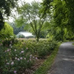 Kaliningrad Botanical Garden: Rare Plants, Greenhouses and a Century of History
