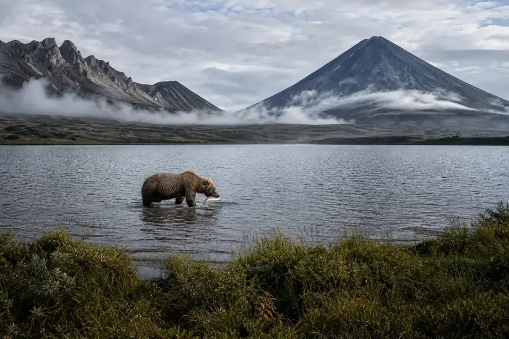 Kurile Lake: Bears, Salmon, and Volcanic Wilderness