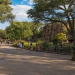 Limpopo Zoo: Tickets, Hours and What to See