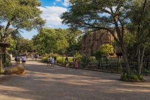 Limpopo Zoo: Tickets, Hours and What to See