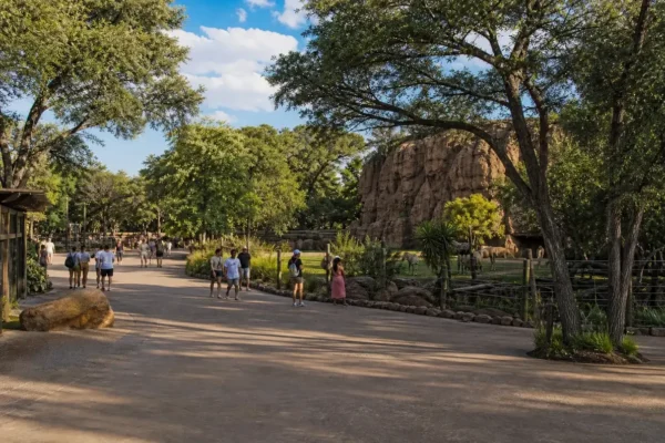 Limpopo Zoo: Tickets, Hours and What to See