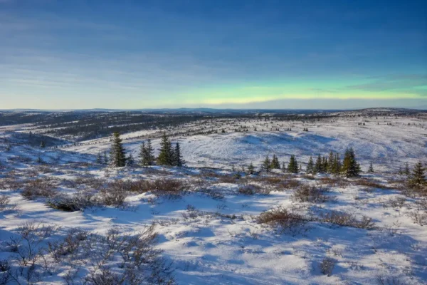Multi-day tours and activities, Murmansk: Arctic adventures by season