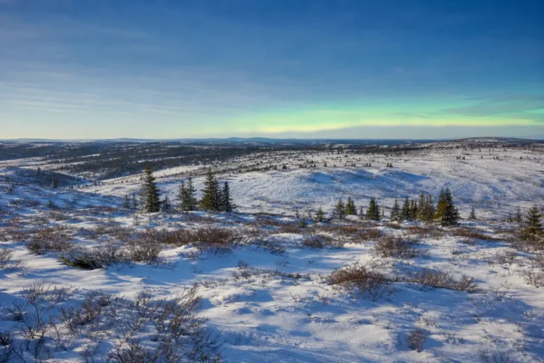 Multi-day tours and activities, Murmansk: Arctic adventures by season 34