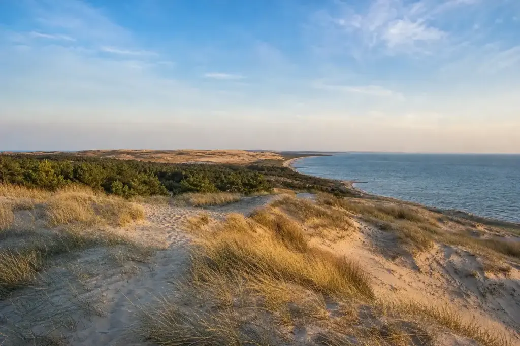 Sand dunes, pine forests and Baltic coastline on the Curonian Spit near Kaliningrad