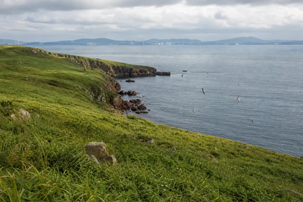 Popov Island by Ferry: Day Trip from Vladivostok