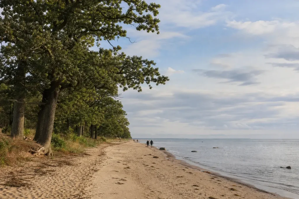 Sestroretsk Day Trip, Saint Petersburg: Gulf Beach, Dubki and Razliv
