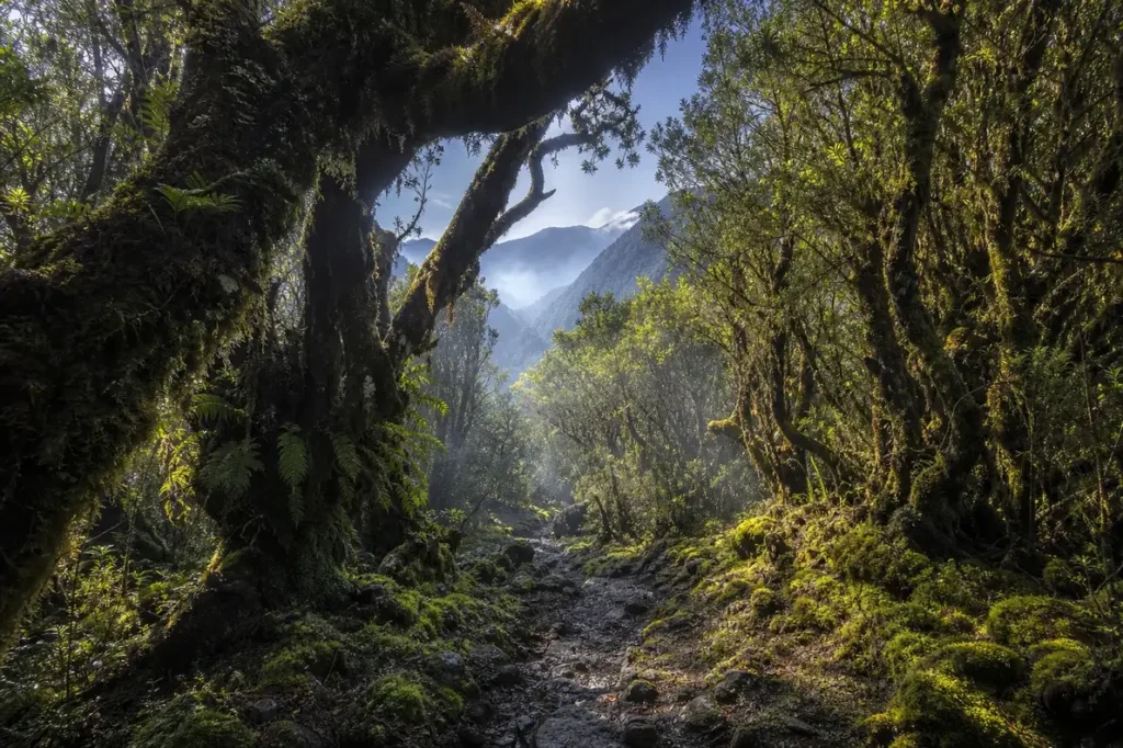 Sochi National Park Hiking: Three-Day Trail Guide