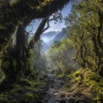 Sochi National Park Hiking: Three-Day Trail Guide