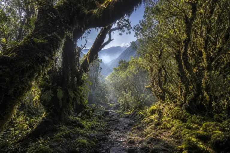 Sochi National Park Hiking: Three-Day Trail Guide