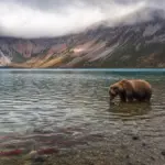 South Kamchatka Wildlife Sanctuary: Kurile Lake, Bears and Salmon