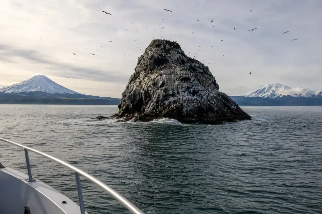 Starichkov Island: Seabird Cliffs and Boat Trips from the City