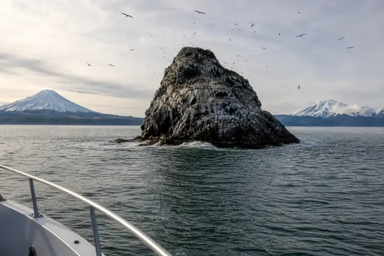 Starichkov Island: Seabird Cliffs and Boat Trips from the City