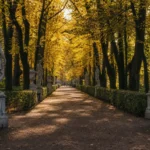 Summer Garden: Statues, Summer Palace and Opening Times