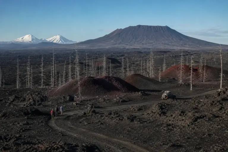 Tolbachik Volcano: Lava Fields, Dead Forest and Craters