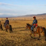 Ust-Ordynsky Buryat Culture Day Trip, Irkutsk: Museum and Horse Festivals