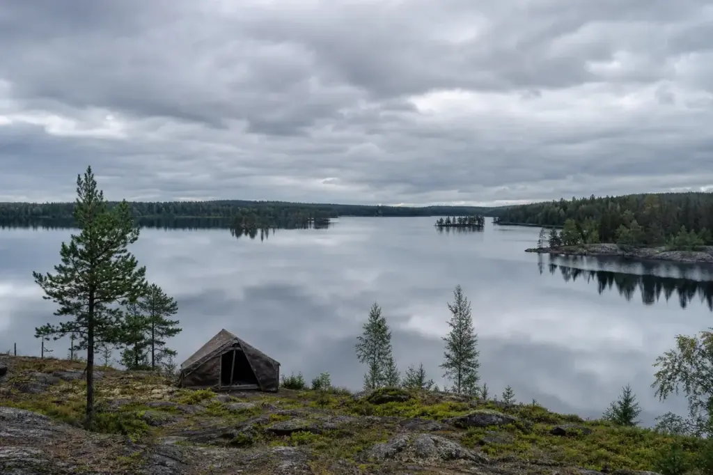 Vodlozero National Park: Wilderness, Lakes and Old-Growth Forests