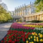 Yelagin Island Tulip Festival, Saint Petersburg: Guide